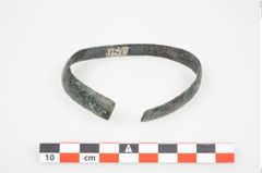 Foto von Bronzeschaukelfußreif (NHMW-PRAE-025995)